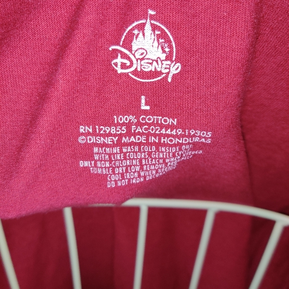 Disney Animal Kingdom Christmas - Picture 2 of 5